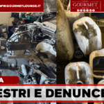 Terra dei Fuochi, maxi blitz tra Casal di Principe e Villa di Briano: tre attività sequestrate e tre denunciati
