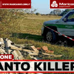 Mondragone, amianto abbandonato in un fondo agricolo: scatta il sequestro