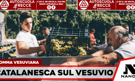 Somma Vesuviana, alle Cantine Olivella torna la Festa della Vendemmia dedicata alla Catalanesca