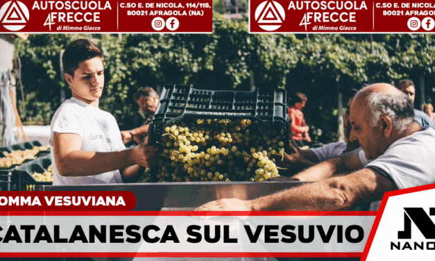Somma Vesuviana, alle Cantine Olivella torna la Festa della Vendemmia dedicata alla Catalanesca