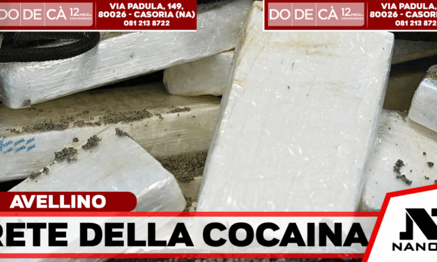 Rete della cocaina