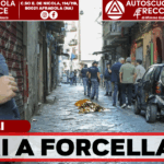 Forcella, sette colpi nella notte: paura in vicoletto Zuroli