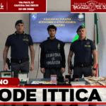 Mugnano di Napoli, maxi sequestro della Guardia di Finanza: trovati oltre 2,1 milioni in contanti in un’azienda ittica