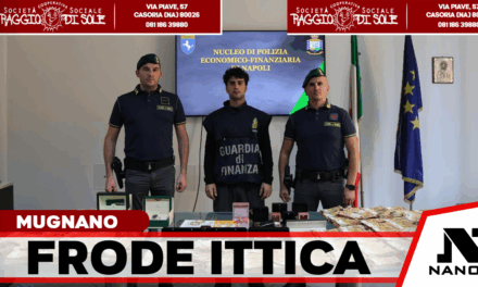 Mugnano di Napoli, maxi sequestro della Guardia di Finanza: trovati oltre 2,1 milioni in contanti in un’azienda ittica