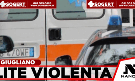 Lite Violenta